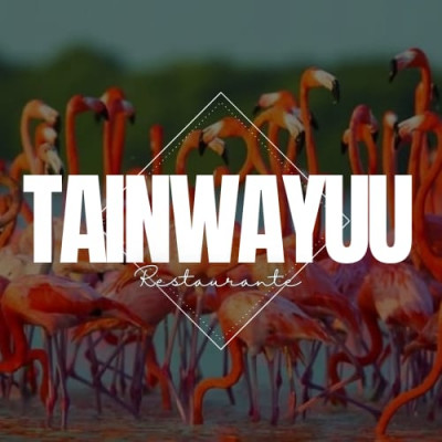 Tain Wayuu