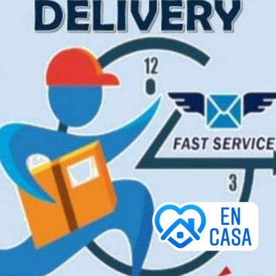 CONAUDIT DELIVERY EXPRESS