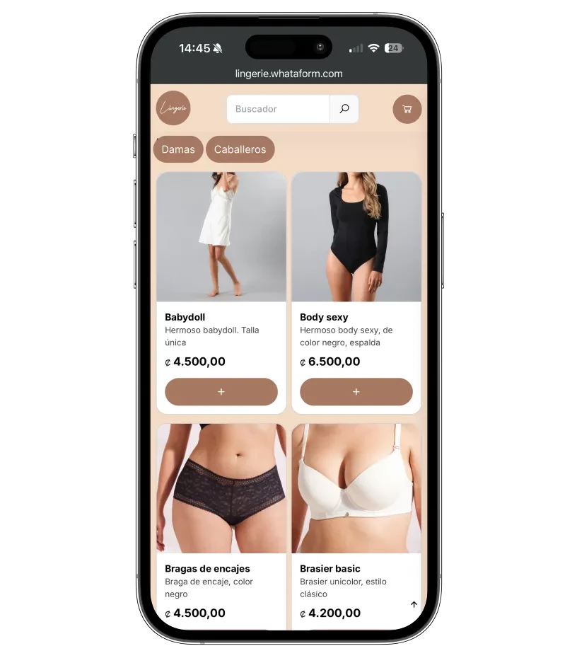 Ropa Interior / Accesorios — hero