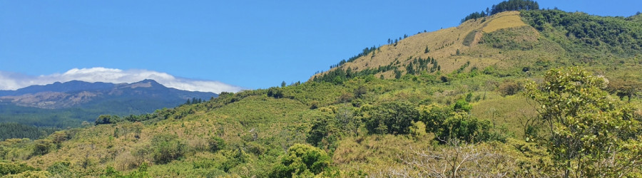 Header El Castillo de La Yeguada