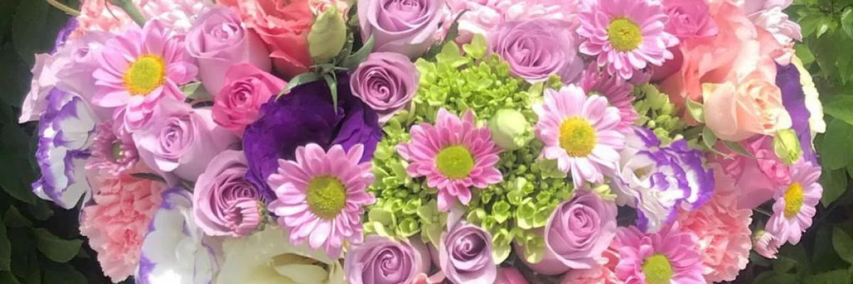 Header Cortona Floreria Boutique