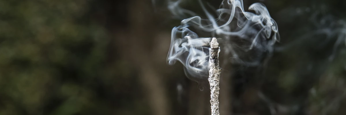 Header Alma Bazar Uy