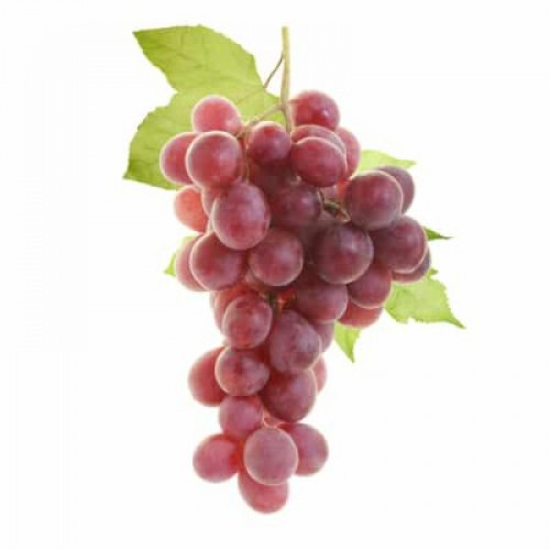 Uvas