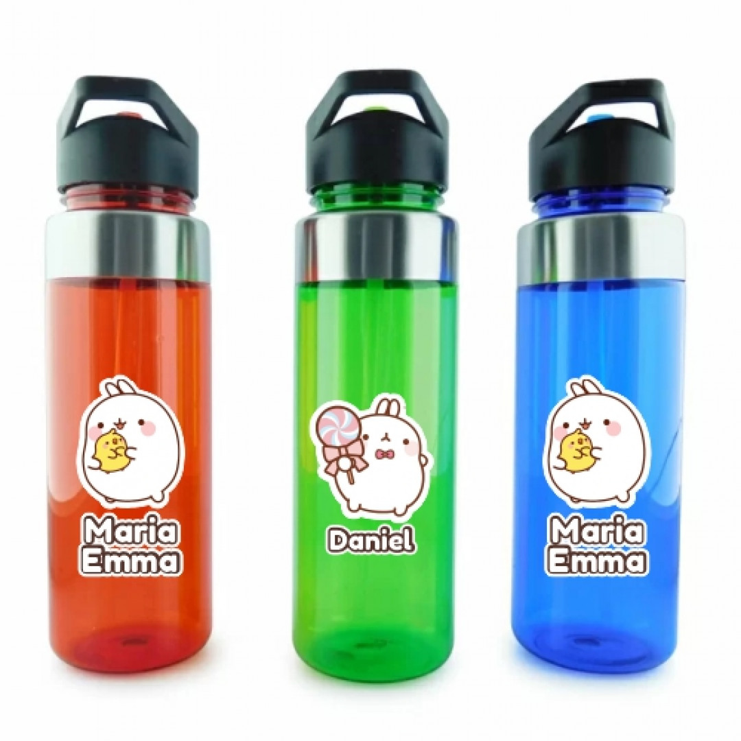 BOTILITO PERSONALIZADO 700 ml