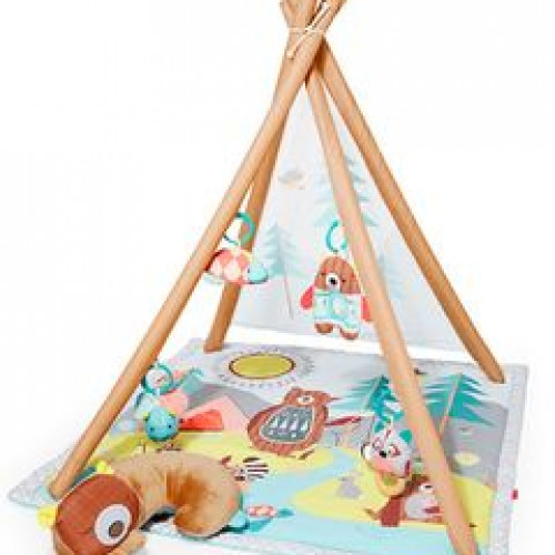 Camping Cubs Activity Gym