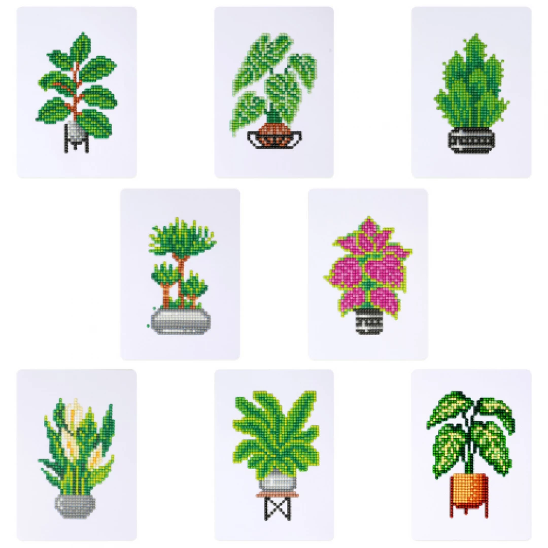 Mini DP Plantas #1
