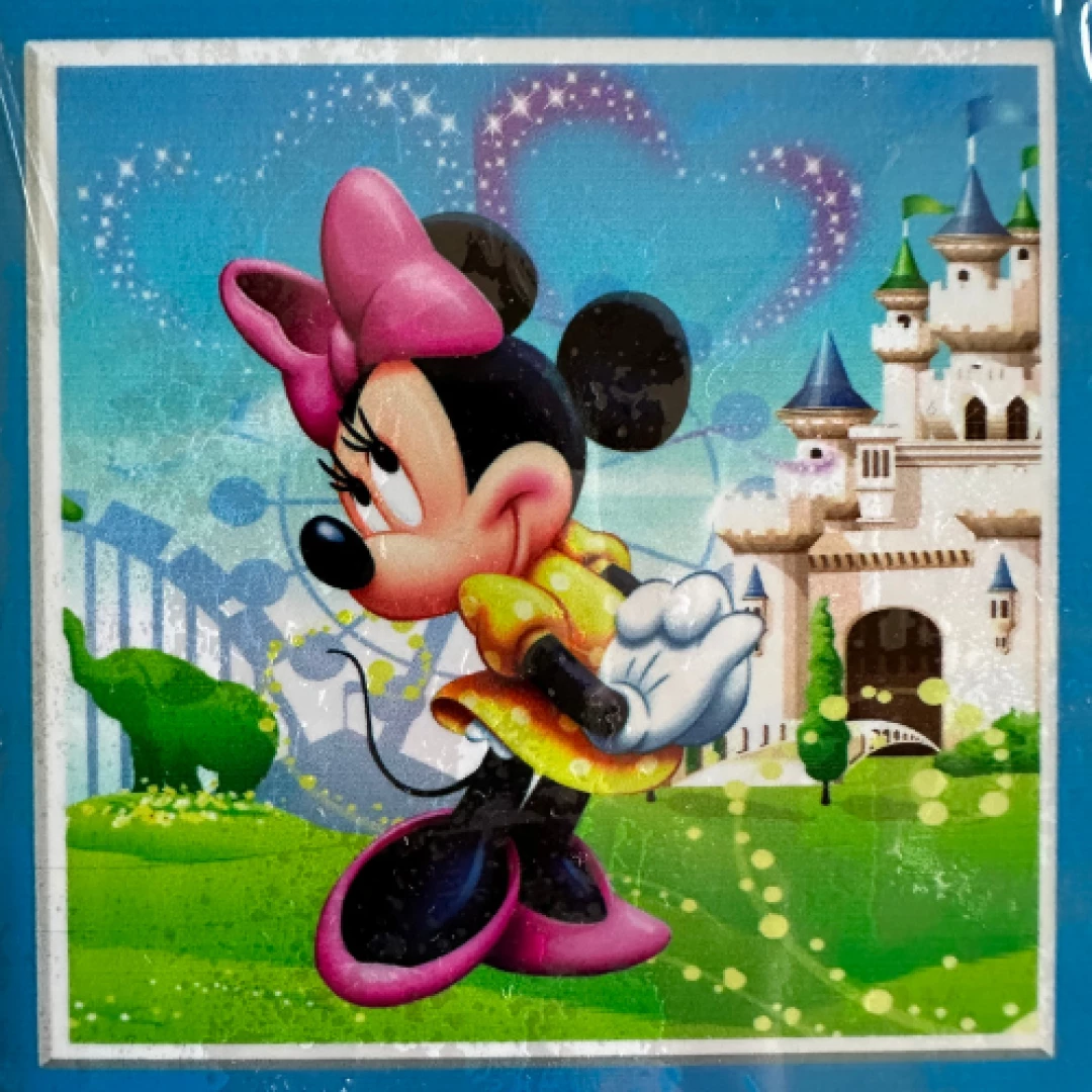 Minnie Mouse Kids DP