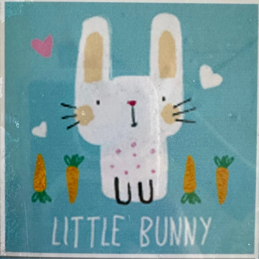 Little Bunny Kids DP
