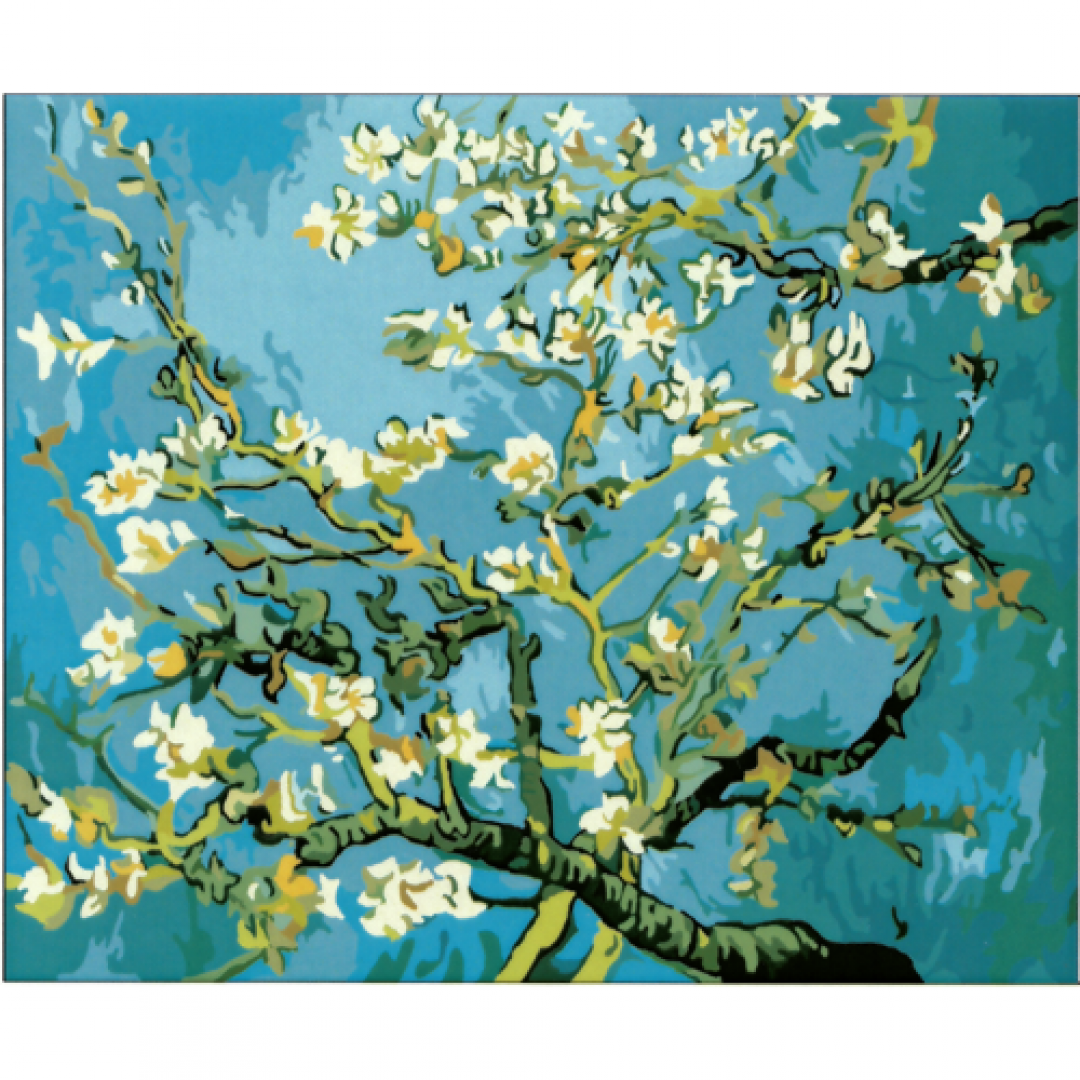 Almond Blossom (PBN)