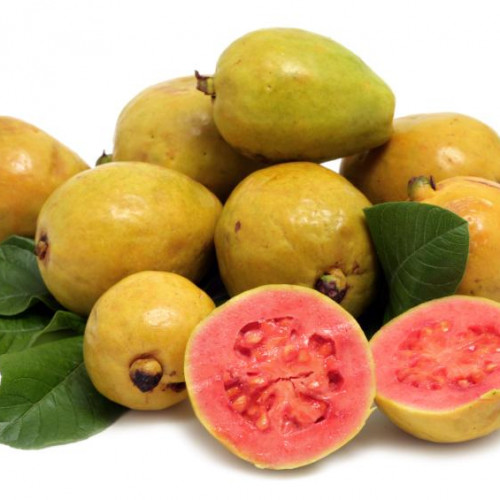 Guayaba