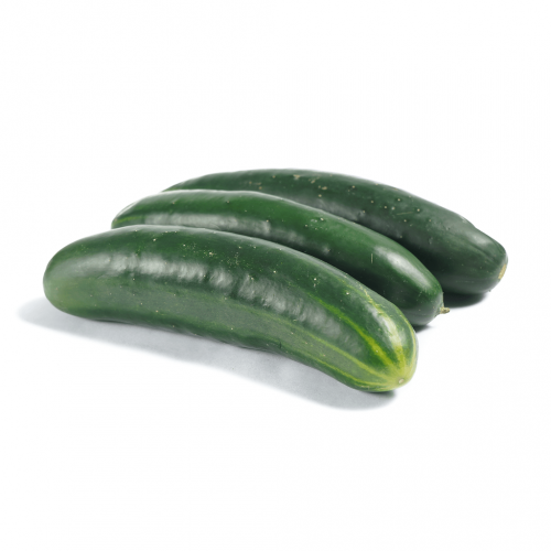 Pepino Cohombro