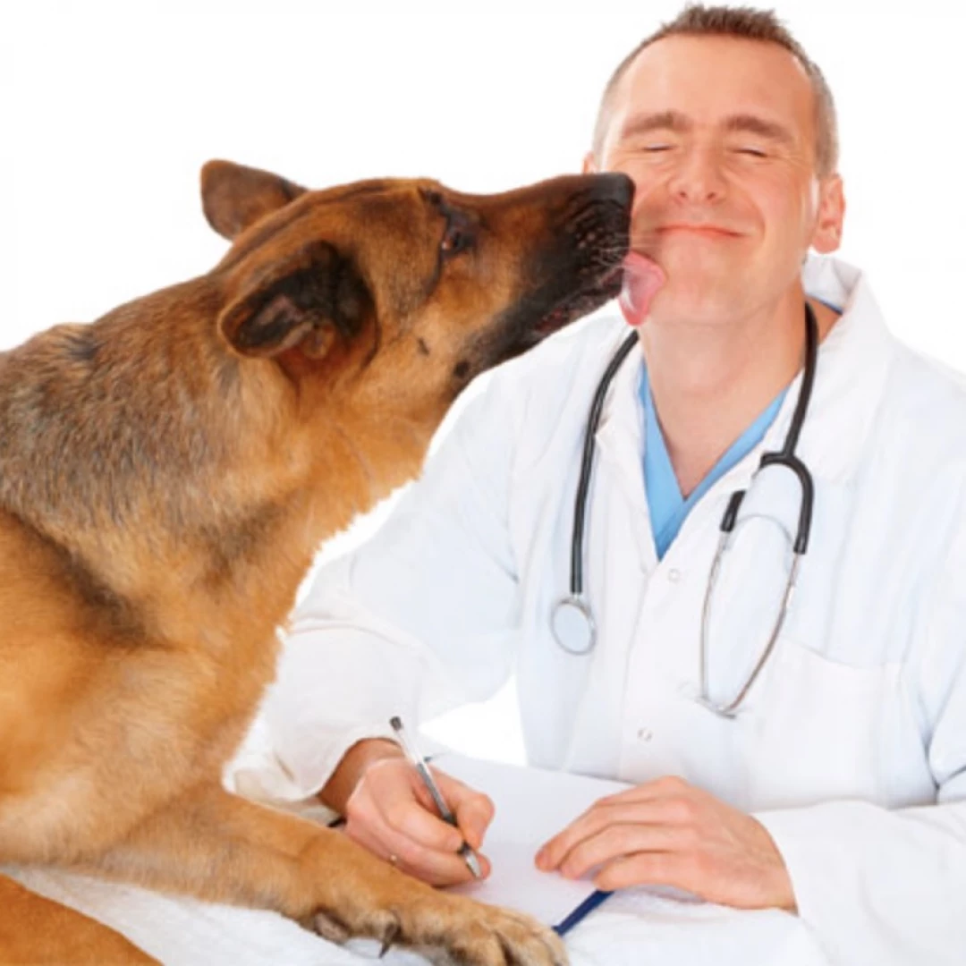 Atención veterinaria