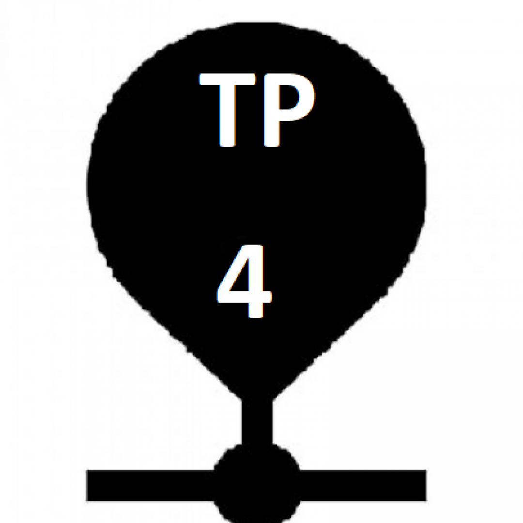 Tarifa Plana Canales de Voz: 4 Canales