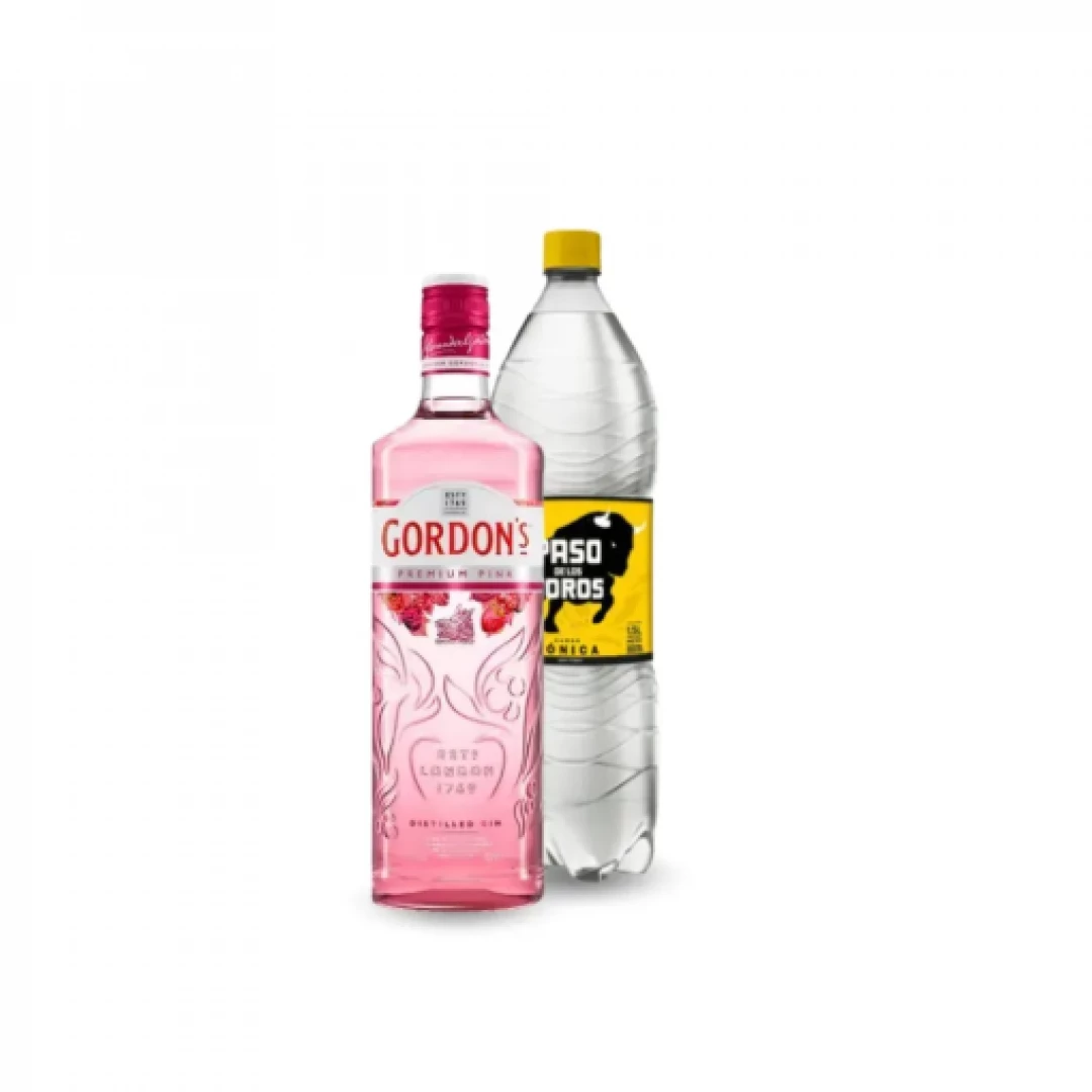 Gin  Gordon's Pink + 2 Tonicas