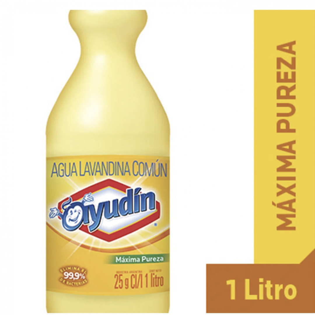Lavandina Ayudín X 1 LTS