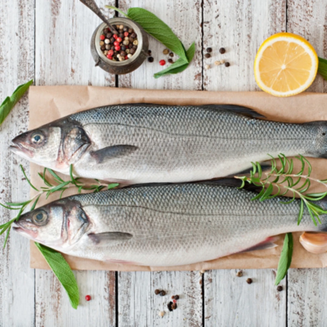 Lubina 1000/2000 salvaje