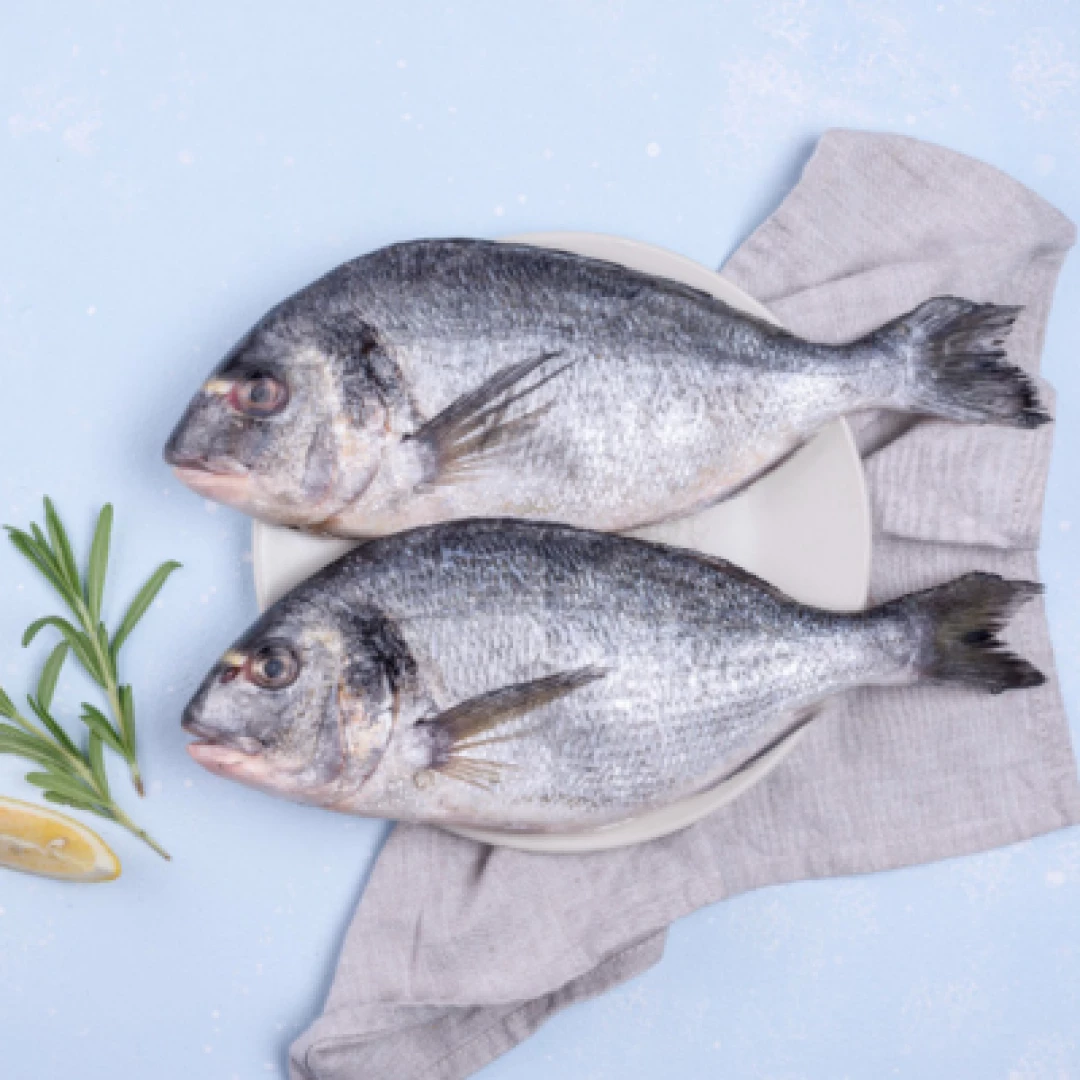 Dorada fresca