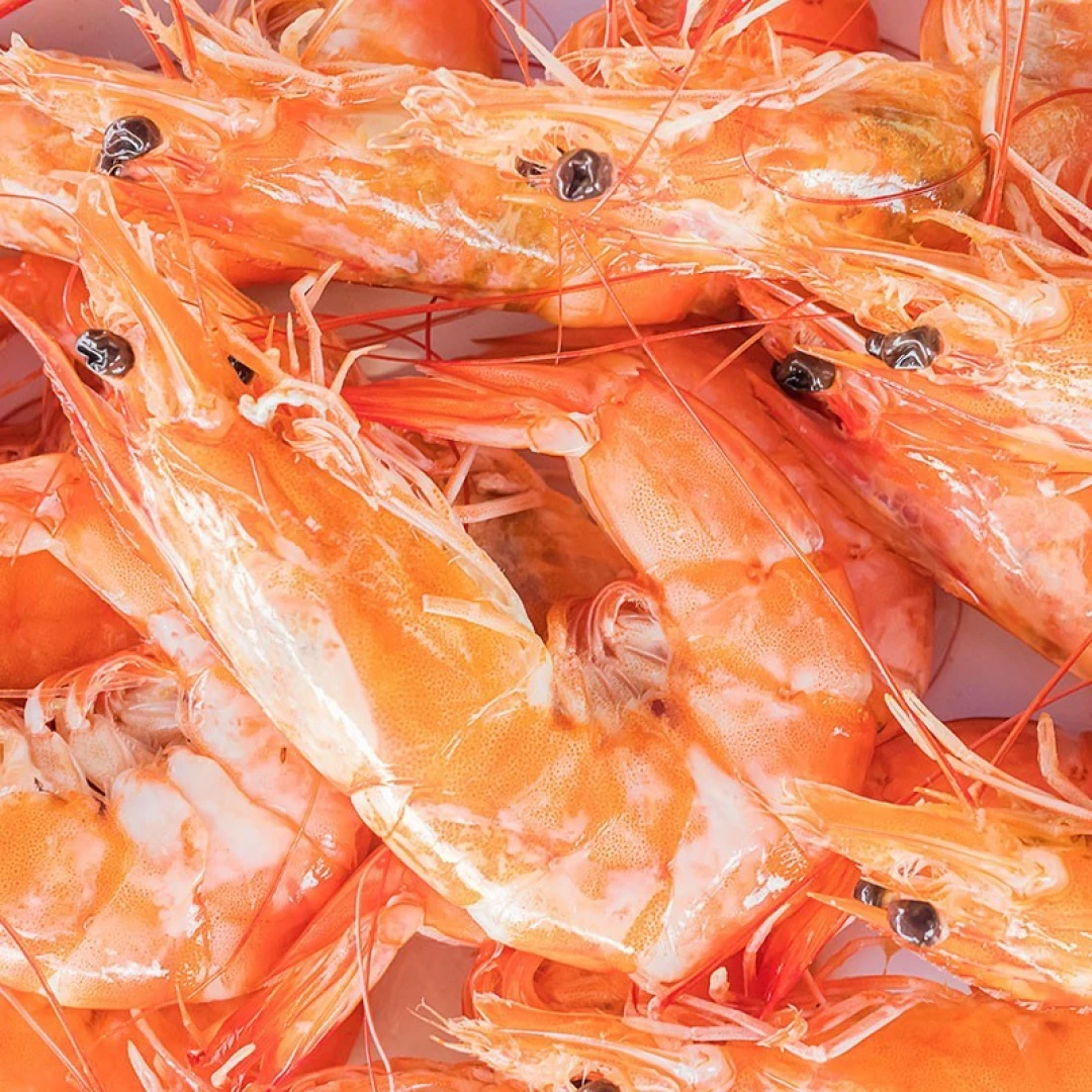 Langostino cocido