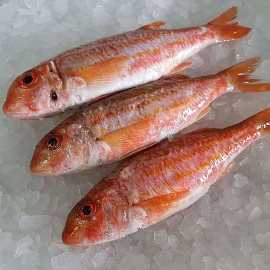 Salmonete 500 gr aprox