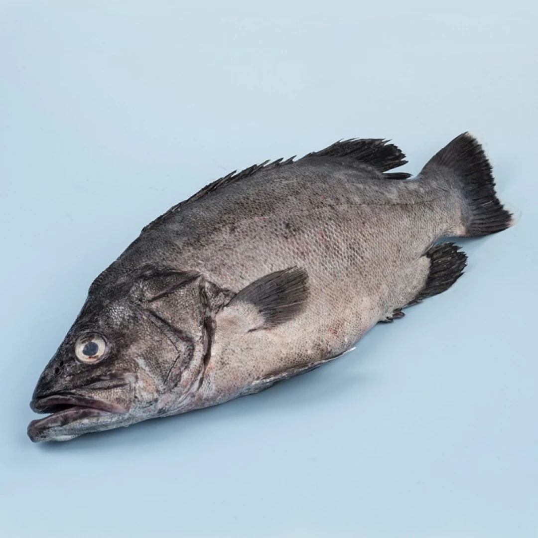 Mero *Pieza de 1 a 1.5 kilos aprox