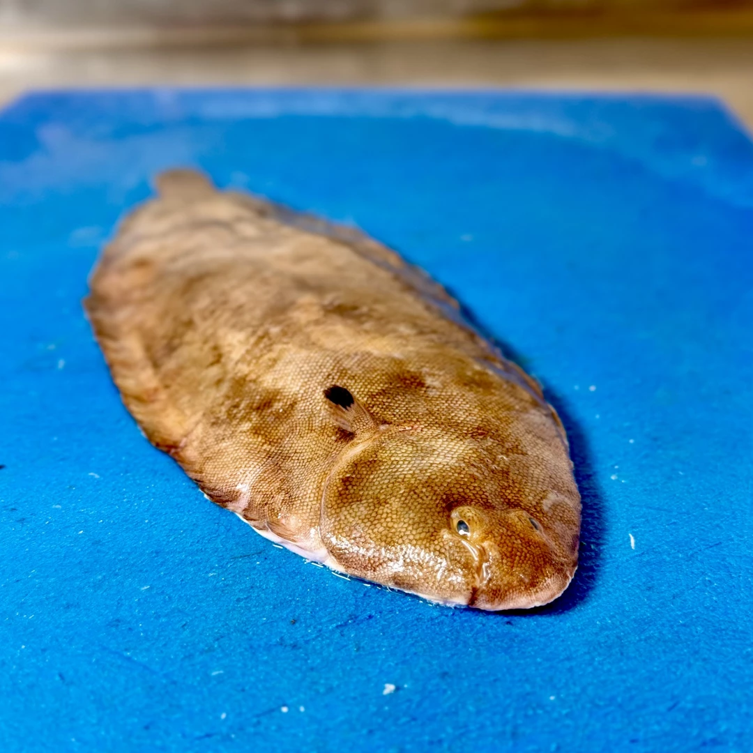 Lenguado fresco
