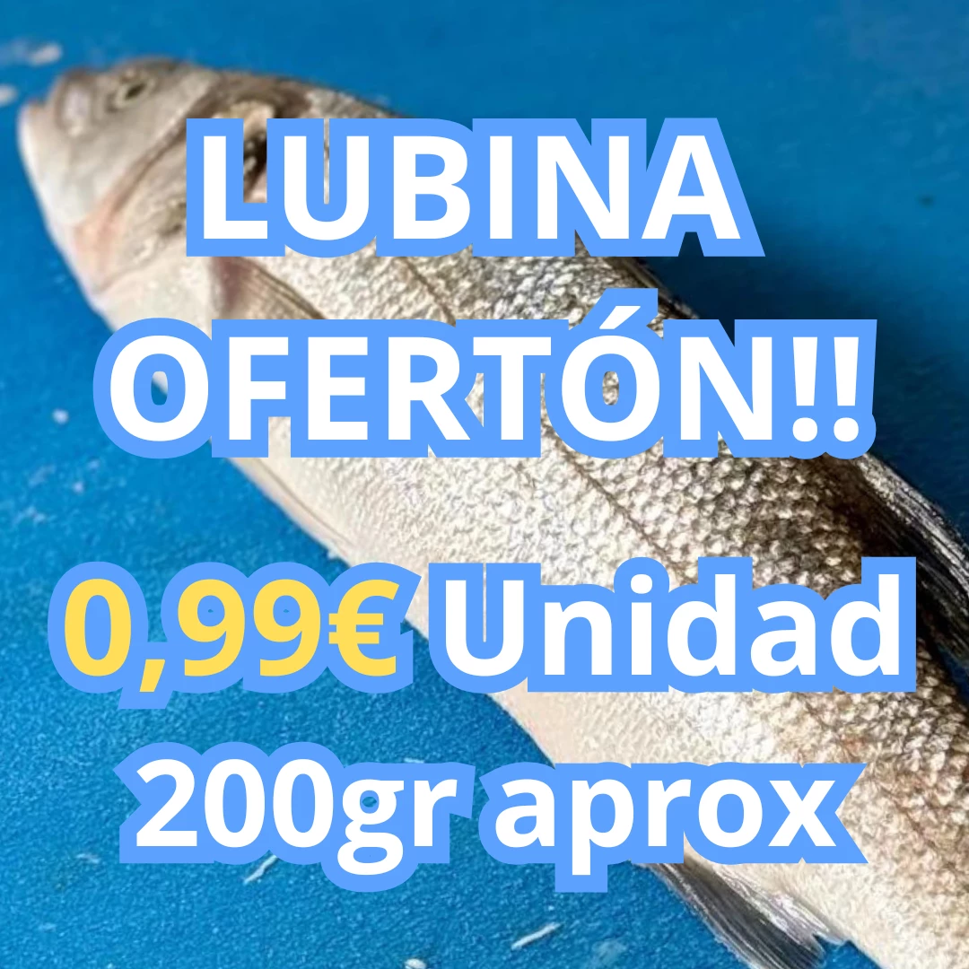 Lubina fresca *200/300gr