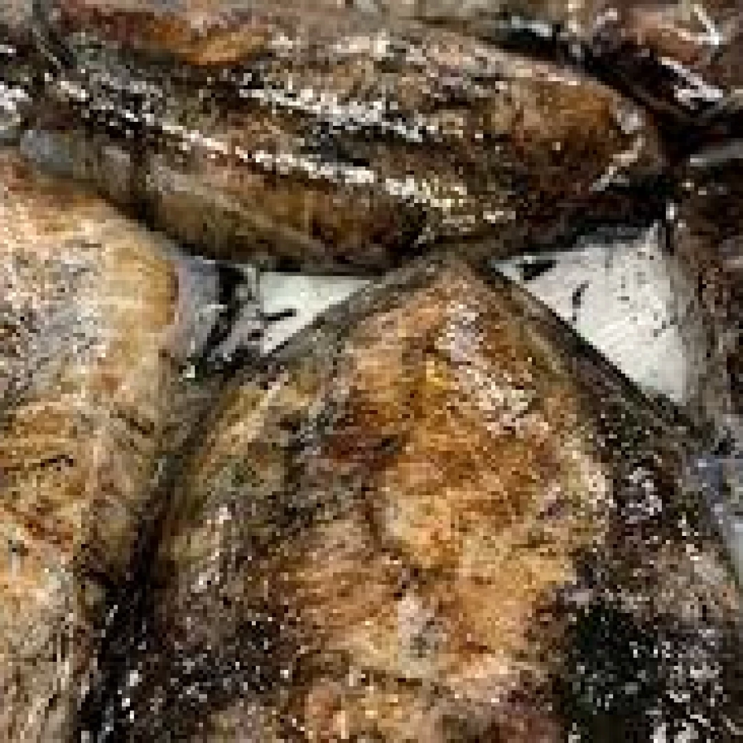 Sepia sucia de playa