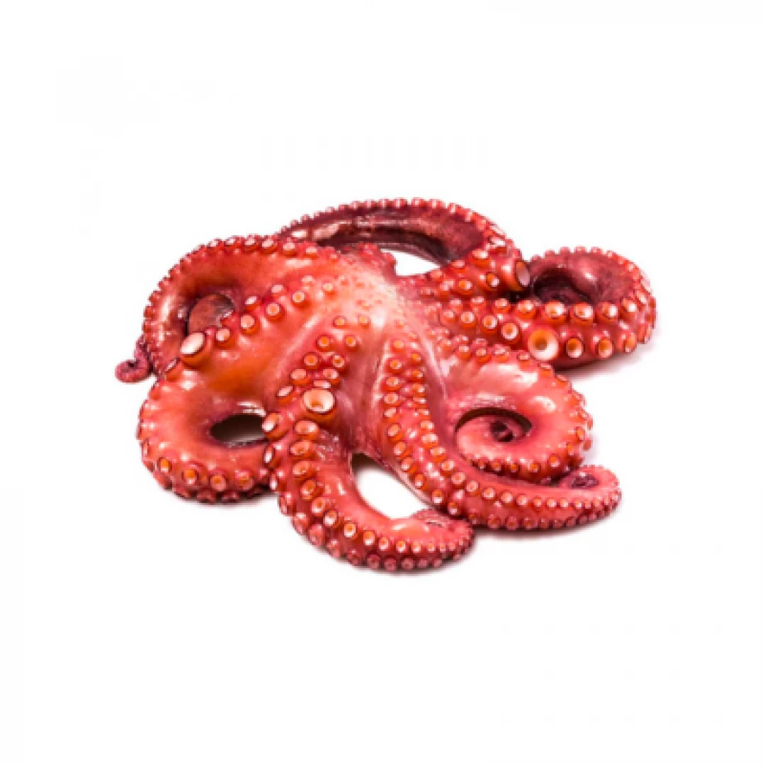Pulpo crudo