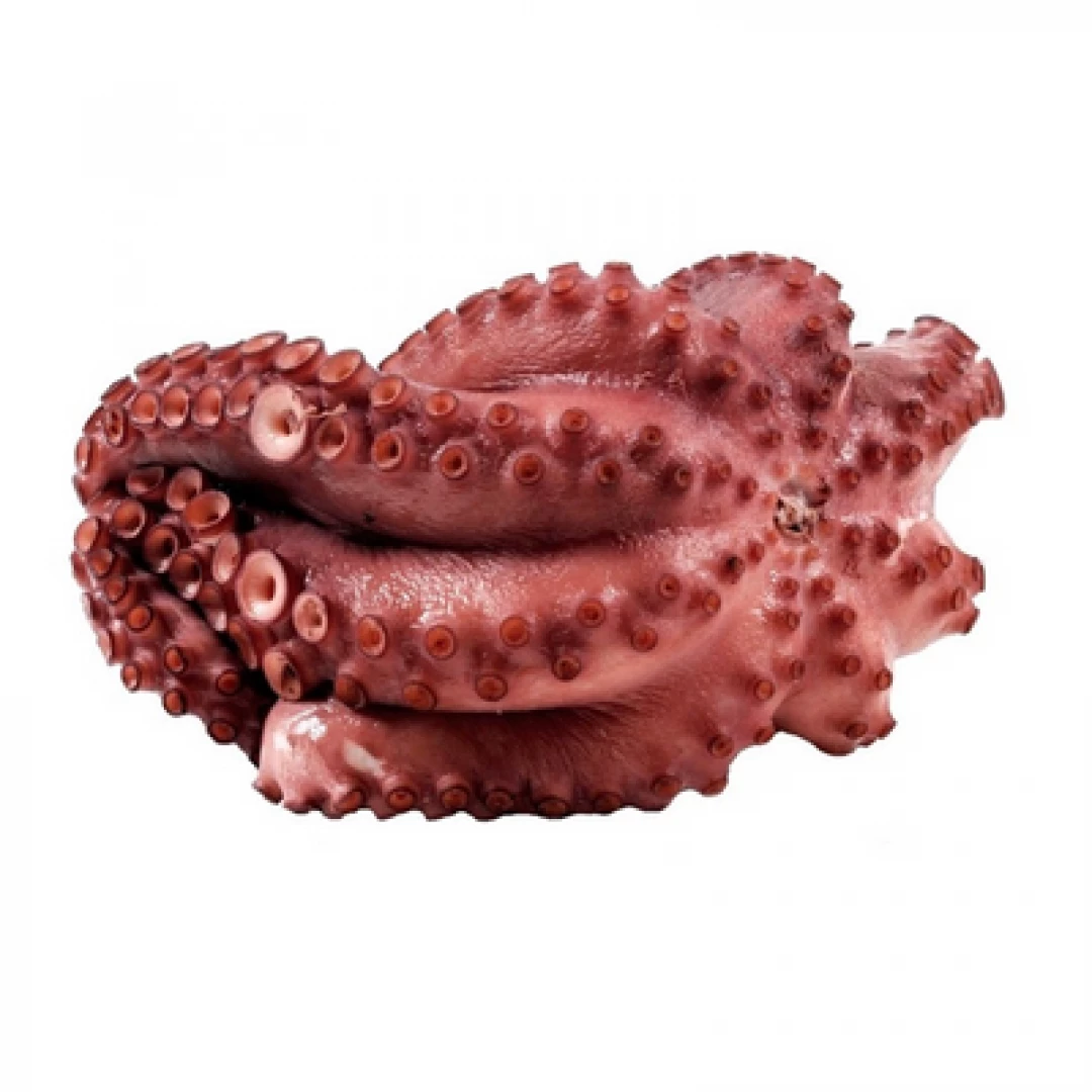 Pulpo