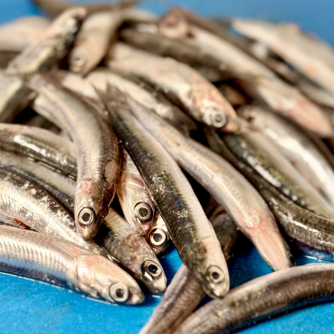 Boquerón pequeño *500 gr