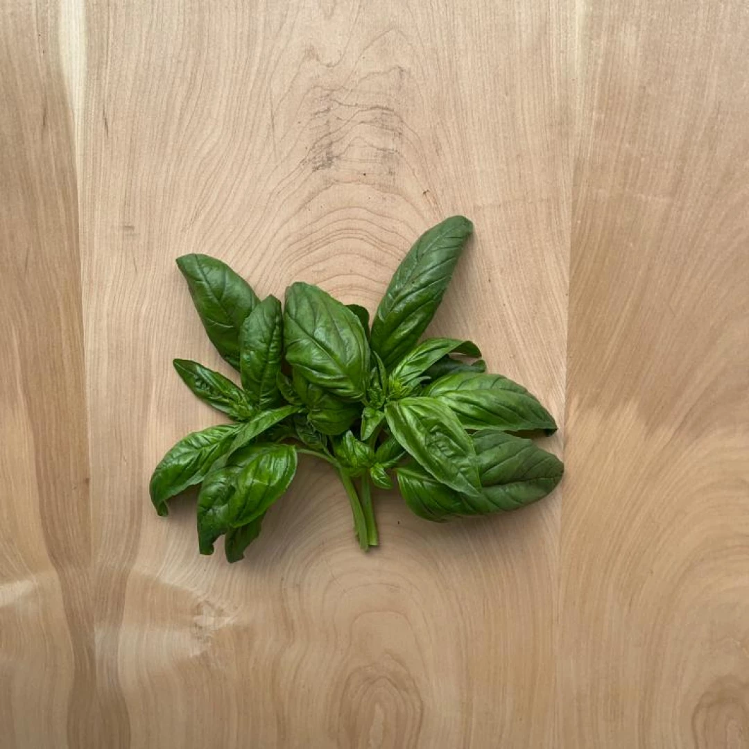 Albahaca por 200 gr.