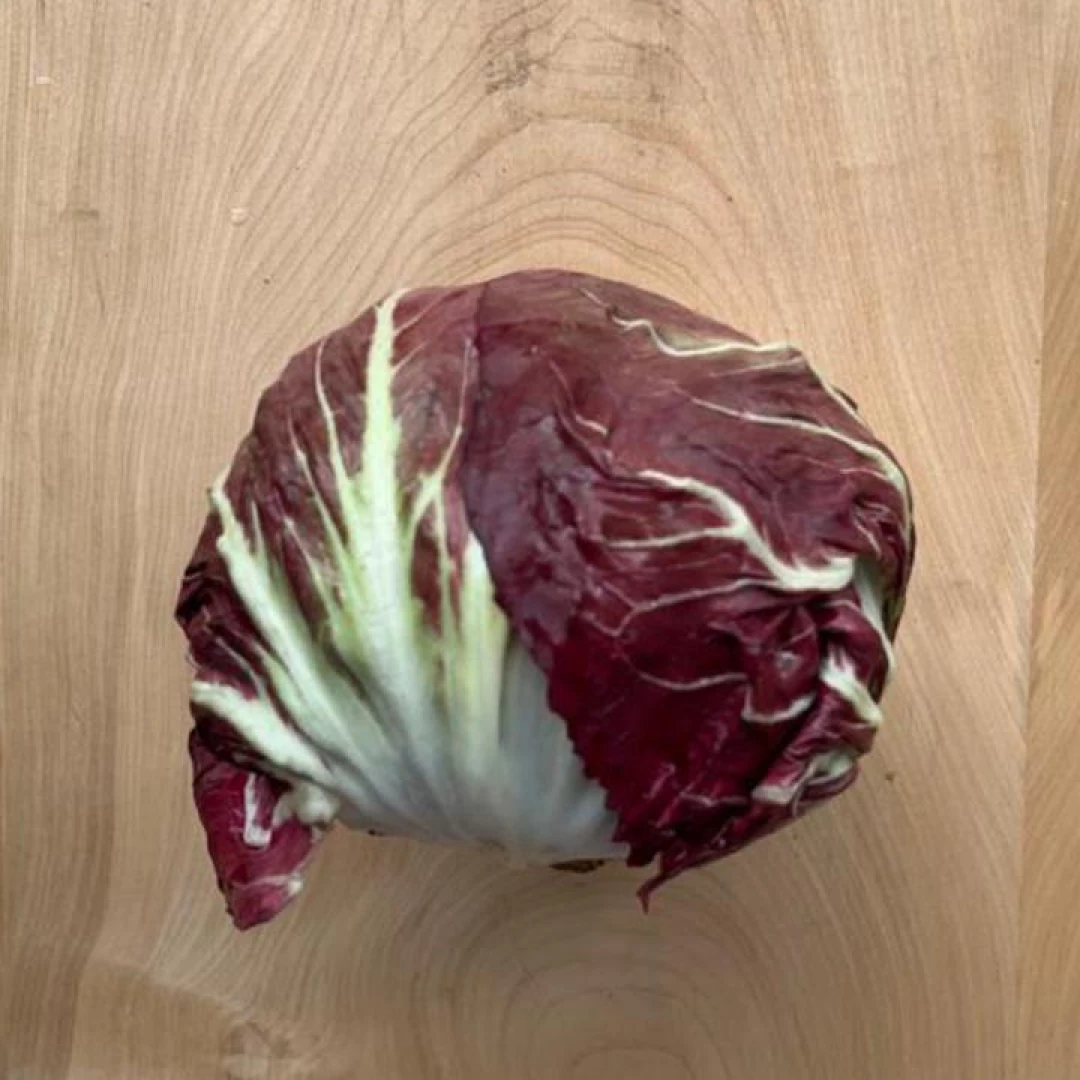 Radicchio