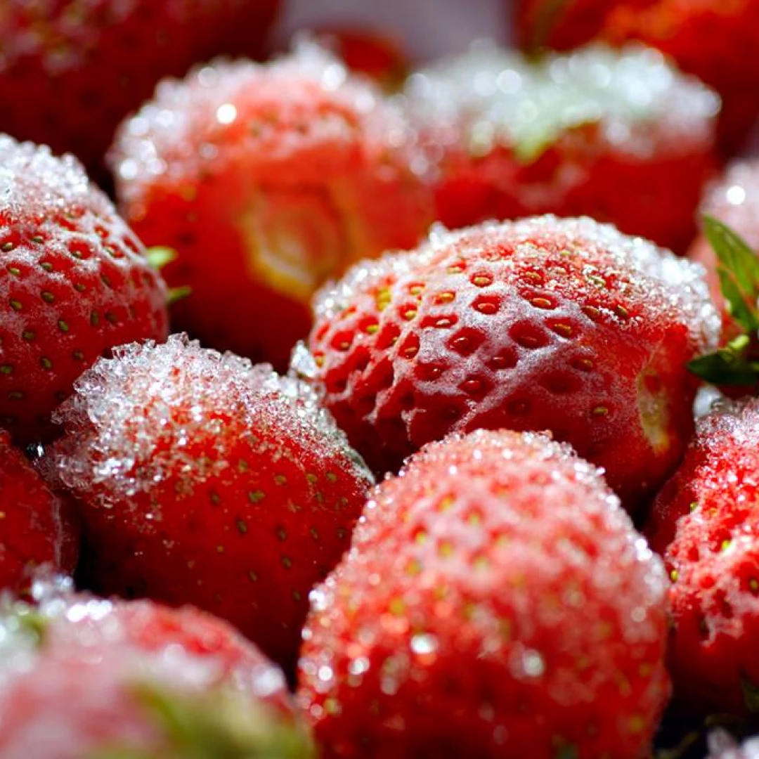 Frutillas congeladas