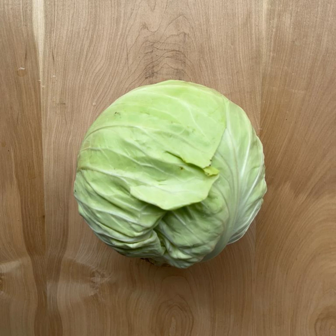 Repollo blanco liso