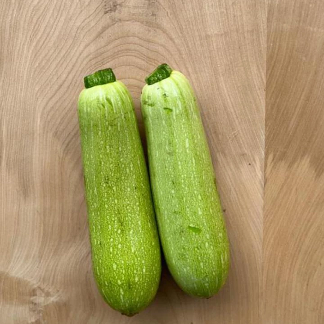 Zucchini