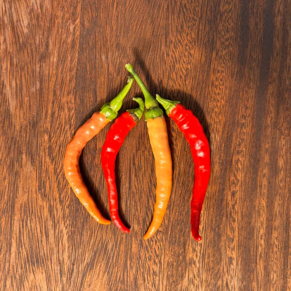 Ají Cayena