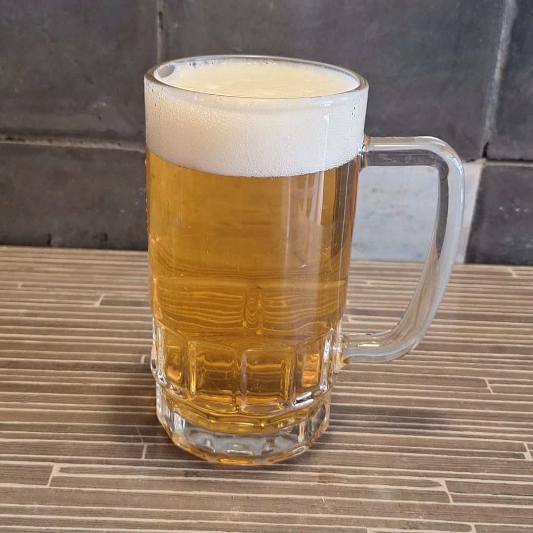 SCHOPS AUSTRAL PATAGONIA HOPPY LAGER