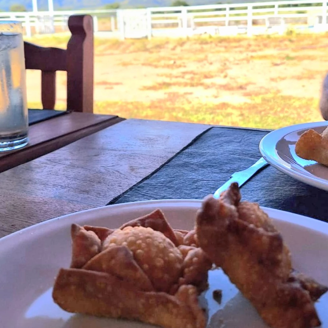 Pastel frito de carne
