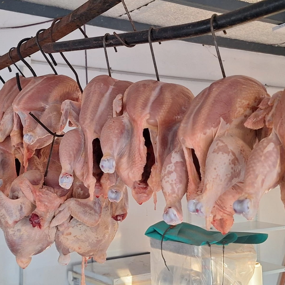 POLLO CASERO X 5UDS $4500 el kg