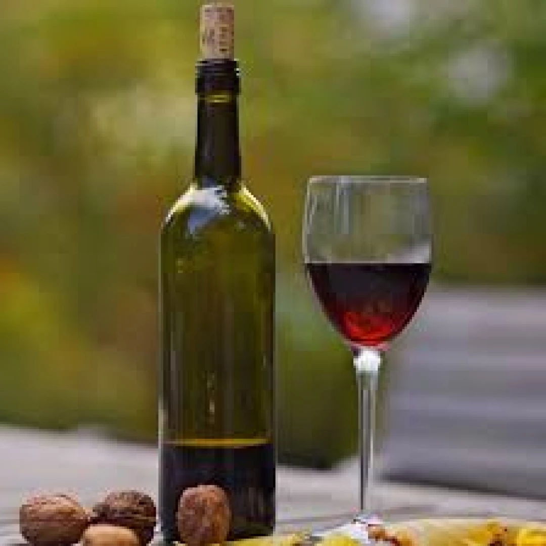 Vino CASERO tinto malbec  750CC