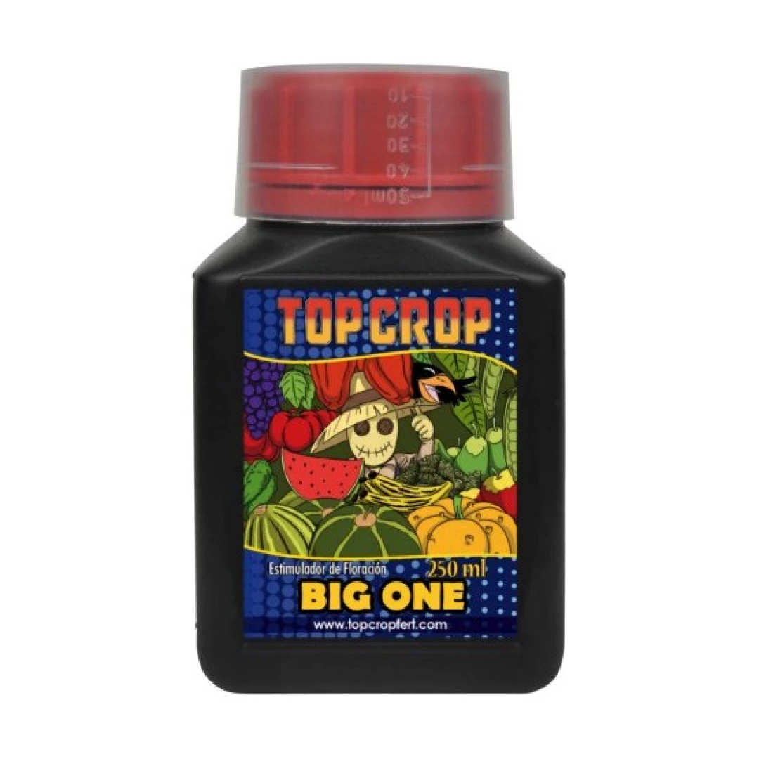 BIG ONE 250ml - TOP CROP