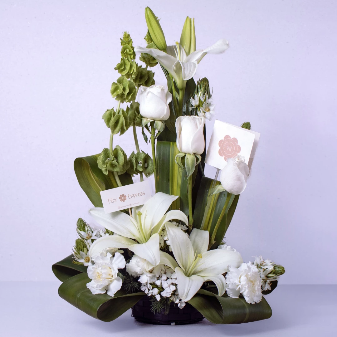 Condolencia Clásico